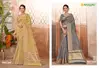 W Sagar Sequence By Rajguru Cotton Chanderi Wholesale Occasion Wear Saree In India